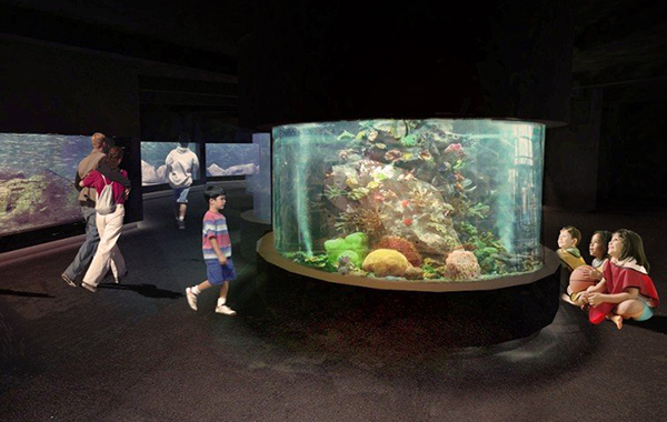 Rozbudowa Akwarium Gdyńskiego będzie kosztować ponad 16 mln zł.