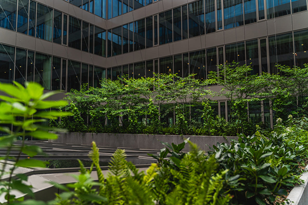 Dobiegła końca rewitalizacja Fabryki Norblina w Warszawie, osttanim etapem prac jest zielona architektura.