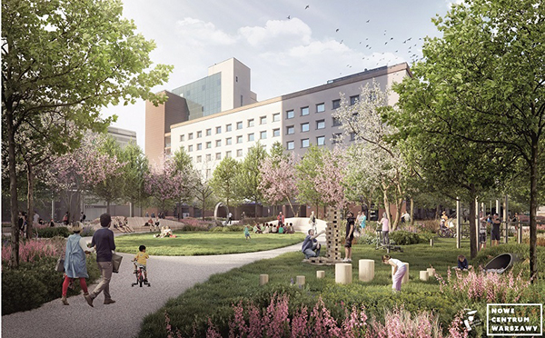 Projekt zagospodarowania terenu w rejonie ul. Zgoda.