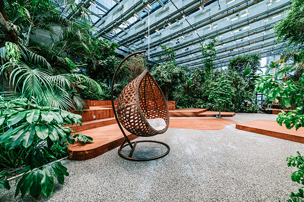 Pracownia Malinowski Design Urban & Landscape nagrodzona za projekt egzotycznego ogrodu Olivia Garden. Pracownia Malinowski Design Urban & Landscape nagrodzona za projekt egzotycznego ogrodu Olivia Garden.