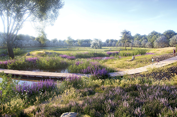 Modernizacja parku Pole Mokotowskie będzie kosztować  prawie 40 mln zł. Wiz. WXCA.