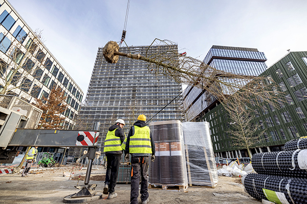 Kompleks biurowy Nowy Rynek w Poznaniu - for. Skanska 