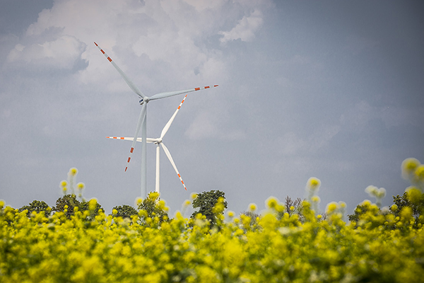 Tauron Polska Energia przymierza się do rozpoczęcia budowy nowej farmy wiatrowej.