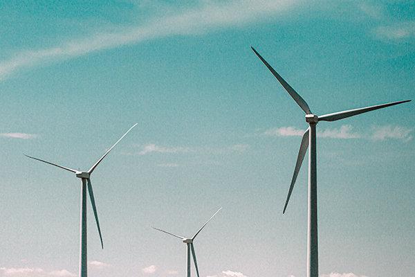 Do 2025 roku Tauron Polska Energia planuje podwoić inwestycje w energetyce wiatrowej.